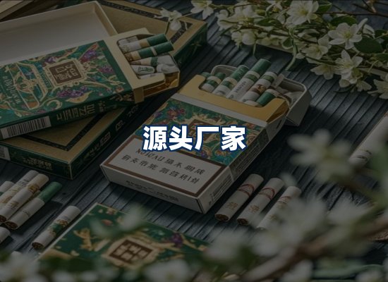 专业团队办公环境